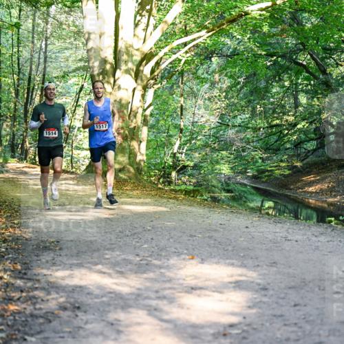 28.09.2025 - 33. Volkslauf durch das schöne Alstertal Dr. Thomas Lammeyer http://msf.ph/oto/8950771 28.09.2025 10:14:53 Laufen 1514, 1517 meine-sportfotos.de