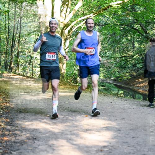 28.09.2025 - 33. Volkslauf durch das schöne Alstertal Dr. Thomas Lammeyer http://msf.ph/oto/8950782 28.09.2025 10:14:55 Laufen 1514 meine-sportfotos.de