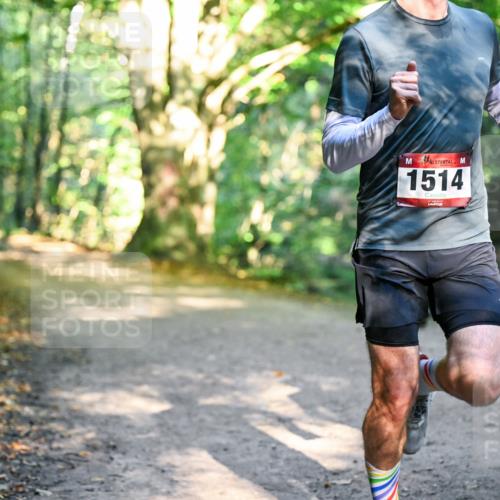 28.09.2025 - 33. Volkslauf durch das schöne Alstertal Dr. Thomas Lammeyer http://msf.ph/oto/8950790 28.09.2025 10:14:56 Laufen 1514 meine-sportfotos.de