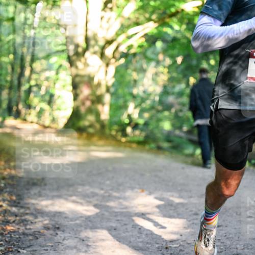28.09.2025 - 33. Volkslauf durch das schöne Alstertal Dr. Thomas Lammeyer http://msf.ph/oto/8950791 28.09.2025 10:14:56 Laufen 1514 meine-sportfotos.de