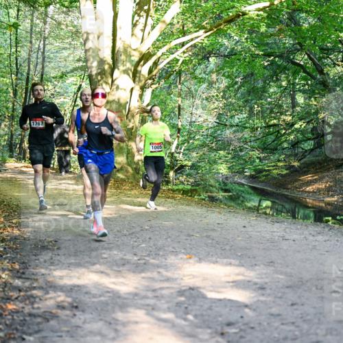 28.09.2025 - 33. Volkslauf durch das schöne Alstertal Dr. Thomas Lammeyer http://msf.ph/oto/8950805 28.09.2025 10:15:06 Laufen 1767, 1005 meine-sportfotos.de