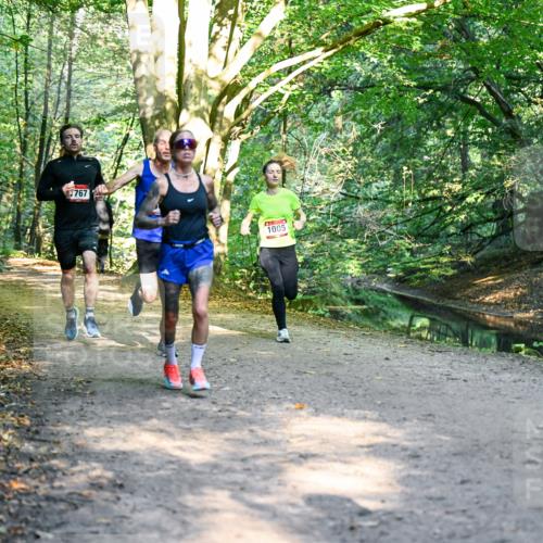 28.09.2025 - 33. Volkslauf durch das schöne Alstertal Dr. Thomas Lammeyer http://msf.ph/oto/8950806 28.09.2025 10:15:07 Laufen 767, 1005 meine-sportfotos.de