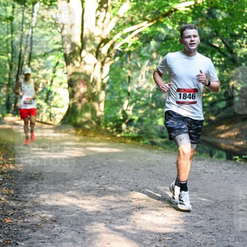 28.09.2025 - 33. Volkslauf durch das schöne Alstertal Dr. Thomas Lammeyer http://msf.ph/oto/8950835 28.09.2025 10:15:17 Laufen 1846 meine-sportfotos.de