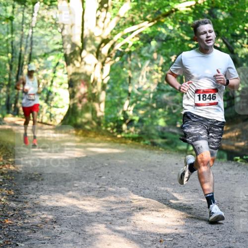 28.09.2025 - 33. Volkslauf durch das schöne Alstertal Dr. Thomas Lammeyer http://msf.ph/oto/8950836 28.09.2025 10:15:17 Laufen 1846 meine-sportfotos.de
