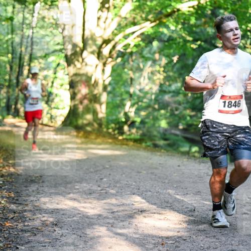 28.09.2025 - 33. Volkslauf durch das schöne Alstertal Dr. Thomas Lammeyer http://msf.ph/oto/8950837 28.09.2025 10:15:17 Laufen 1846 meine-sportfotos.de