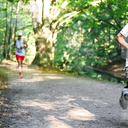 28.09.2025 - 33. Volkslauf durch das schöne Alstertal Dr. Thomas Lammeyer http://msf.ph/oto/8950839 28.09.2025 10:15:17 Laufen 1846 meine-sportfotos.de