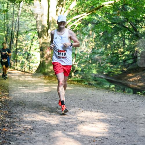 28.09.2025 - 33. Volkslauf durch das schöne Alstertal Dr. Thomas Lammeyer http://msf.ph/oto/8950847 28.09.2025 10:15:19 Laufen 1519 meine-sportfotos.de