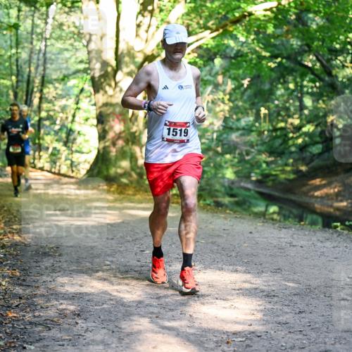 28.09.2025 - 33. Volkslauf durch das schöne Alstertal Dr. Thomas Lammeyer http://msf.ph/oto/8950849 28.09.2025 10:15:20 Laufen 9, 1519 meine-sportfotos.de
