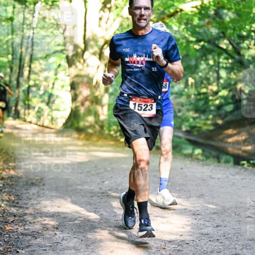 28.09.2025 - 33. Volkslauf durch das schöne Alstertal Dr. Thomas Lammeyer http://msf.ph/oto/8950868 28.09.2025 10:15:24 Laufen 33, 1523, 58 meine-sportfotos.de