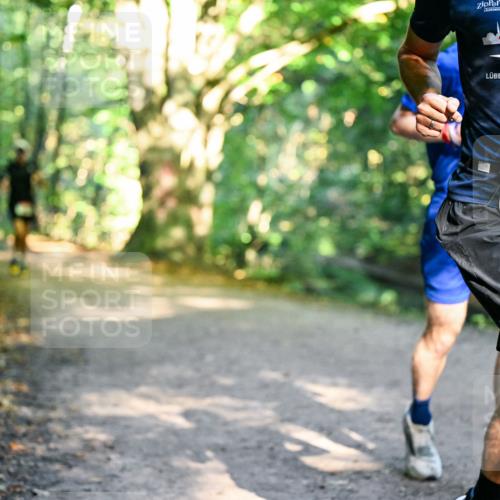 28.09.2025 - 33. Volkslauf durch das schöne Alstertal Dr. Thomas Lammeyer http://msf.ph/oto/8950873 28.09.2025 10:15:24 Laufen 1523, 33 meine-sportfotos.de