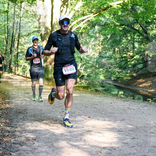 28.09.2025 - 33. Volkslauf durch das schöne Alstertal Dr. Thomas Lammeyer http://msf.ph/oto/8950883 28.09.2025 10:15:28 Laufen 1544, 1649, 1540 meine-sportfotos.de