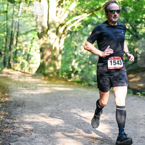 28.09.2025 - 33. Volkslauf durch das schöne Alstertal Dr. Thomas Lammeyer http://msf.ph/oto/8950903 28.09.2025 10:15:33 Laufen 1543 meine-sportfotos.de