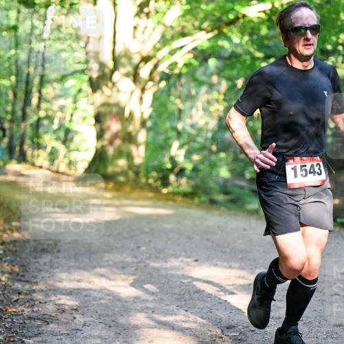 28.09.2025 - 33. Volkslauf durch das schöne Alstertal Dr. Thomas Lammeyer http://msf.ph/oto/8950904 28.09.2025 10:15:33 Laufen 1543 meine-sportfotos.de