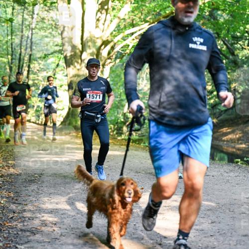 28.09.2025 - 33. Volkslauf durch das schöne Alstertal Dr. Thomas Lammeyer http://msf.ph/oto/8950907 28.09.2025 10:15:40 Laufen 11853, 1596, 1571 meine-sportfotos.de