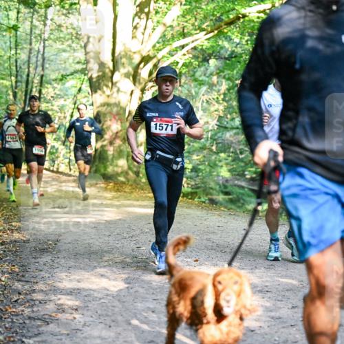 28.09.2025 - 33. Volkslauf durch das schöne Alstertal Dr. Thomas Lammeyer http://msf.ph/oto/8950910 28.09.2025 10:15:41 Laufen 1557, 1556, 1571 meine-sportfotos.de