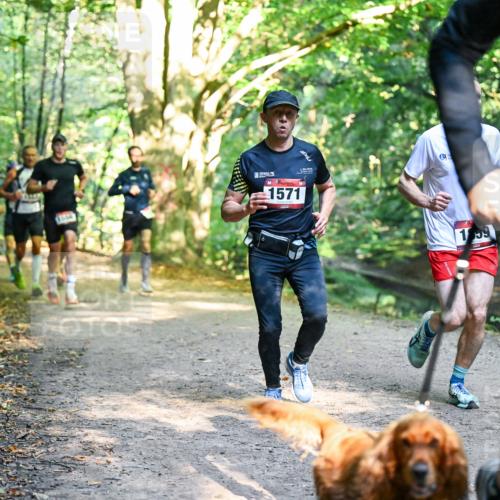 28.09.2025 - 33. Volkslauf durch das schöne Alstertal Dr. Thomas Lammeyer http://msf.ph/oto/8950912 28.09.2025 10:15:41 Laufen 1571, 1859 meine-sportfotos.de
