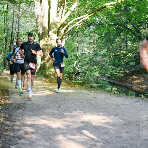28.09.2025 - 33. Volkslauf durch das schöne Alstertal Dr. Thomas Lammeyer http://msf.ph/oto/8950917 28.09.2025 10:15:42 Laufen 1557, 1556, 153 meine-sportfotos.de