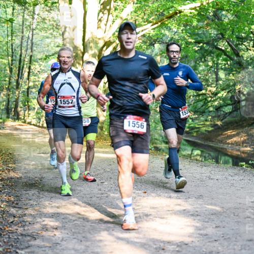 28.09.2025 - 33. Volkslauf durch das schöne Alstertal Dr. Thomas Lammeyer http://msf.ph/oto/8950926 28.09.2025 10:15:44 Laufen 15, 1557, 58, 1556, 153 meine-sportfotos.de
