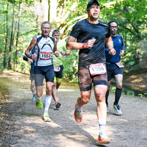 28.09.2025 - 33. Volkslauf durch das schöne Alstertal Dr. Thomas Lammeyer http://msf.ph/oto/8950928 28.09.2025 10:15:44 Laufen 1557, 558, 1556, 53 meine-sportfotos.de