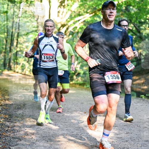 28.09.2025 - 33. Volkslauf durch das schöne Alstertal Dr. Thomas Lammeyer http://msf.ph/oto/8950929 28.09.2025 10:15:44 Laufen 1557, 58, 1556, 1535 meine-sportfotos.de