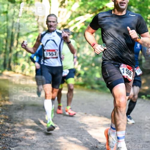 28.09.2025 - 33. Volkslauf durch das schöne Alstertal Dr. Thomas Lammeyer http://msf.ph/oto/8950930 28.09.2025 10:15:44 Laufen 1557 meine-sportfotos.de