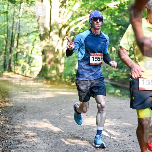 28.09.2025 - 33. Volkslauf durch das schöne Alstertal Dr. Thomas Lammeyer http://msf.ph/oto/8950937 28.09.2025 10:15:45 Laufen 1559, 1558 meine-sportfotos.de