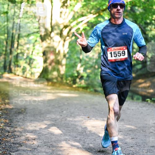 28.09.2025 - 33. Volkslauf durch das schöne Alstertal Dr. Thomas Lammeyer http://msf.ph/oto/8950939 28.09.2025 10:15:46 Laufen 1559 meine-sportfotos.de