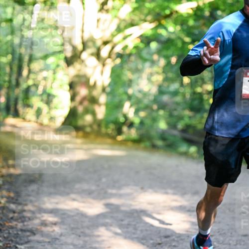 28.09.2025 - 33. Volkslauf durch das schöne Alstertal Dr. Thomas Lammeyer http://msf.ph/oto/8950941 28.09.2025 10:15:46 Laufen 1559 meine-sportfotos.de