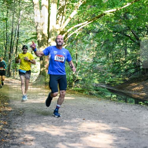 28.09.2025 - 33. Volkslauf durch das schöne Alstertal Dr. Thomas Lammeyer http://msf.ph/oto/8950949 28.09.2025 10:15:51 Laufen 553, 1531, 1568 meine-sportfotos.de