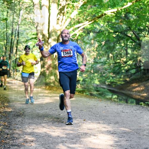 28.09.2025 - 33. Volkslauf durch das schöne Alstertal Dr. Thomas Lammeyer http://msf.ph/oto/8950951 28.09.2025 10:15:51 Laufen 1568 meine-sportfotos.de