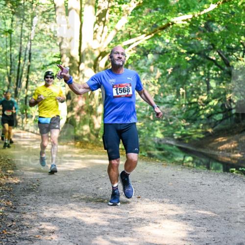 28.09.2025 - 33. Volkslauf durch das schöne Alstertal Dr. Thomas Lammeyer http://msf.ph/oto/8950952 28.09.2025 10:15:51 Laufen 1568 meine-sportfotos.de