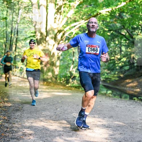 28.09.2025 - 33. Volkslauf durch das schöne Alstertal Dr. Thomas Lammeyer http://msf.ph/oto/8950955 28.09.2025 10:15:51 Laufen 1568 meine-sportfotos.de