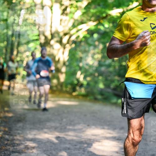 28.09.2025 - 33. Volkslauf durch das schöne Alstertal Dr. Thomas Lammeyer http://msf.ph/oto/8950969 28.09.2025 10:15:53 Laufen  meine-sportfotos.de