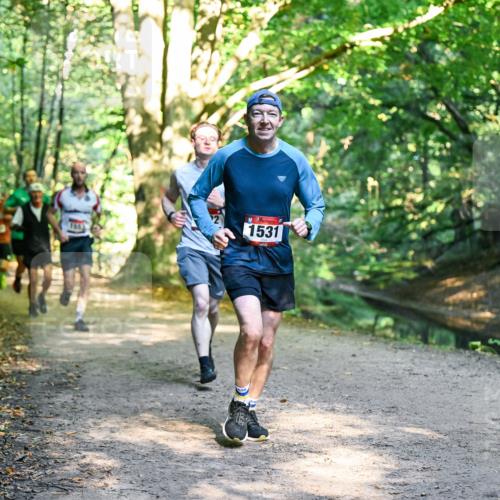 28.09.2025 - 33. Volkslauf durch das schöne Alstertal Dr. Thomas Lammeyer http://msf.ph/oto/8950977 28.09.2025 10:15:55 Laufen 1653, 1531 meine-sportfotos.de