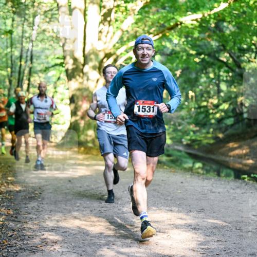 28.09.2025 - 33. Volkslauf durch das schöne Alstertal Dr. Thomas Lammeyer http://msf.ph/oto/8950978 28.09.2025 10:15:55 Laufen 1665, 15, 1531 meine-sportfotos.de