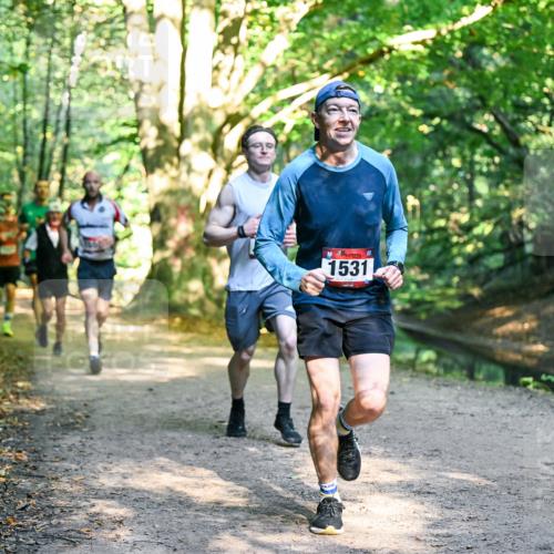 28.09.2025 - 33. Volkslauf durch das schöne Alstertal Dr. Thomas Lammeyer http://msf.ph/oto/8950979 28.09.2025 10:15:55 Laufen 1531 meine-sportfotos.de