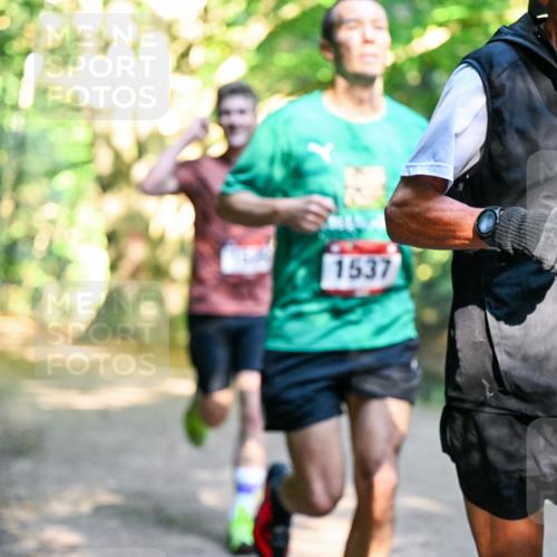 28.09.2025 - 33. Volkslauf durch das schöne Alstertal Dr. Thomas Lammeyer http://msf.ph/oto/8950999 28.09.2025 10:15:59 Laufen 1537 meine-sportfotos.de