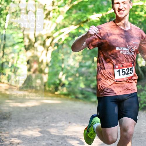 28.09.2025 - 33. Volkslauf durch das schöne Alstertal Dr. Thomas Lammeyer http://msf.ph/oto/8951000 28.09.2025 10:16:00 Laufen 1525 meine-sportfotos.de
