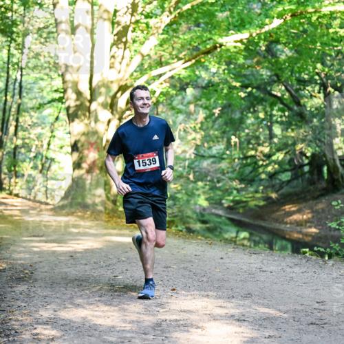 28.09.2025 - 33. Volkslauf durch das schöne Alstertal Dr. Thomas Lammeyer http://msf.ph/oto/8951006 28.09.2025 10:16:04 Laufen 1539 meine-sportfotos.de