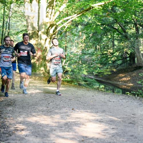 28.09.2025 - 33. Volkslauf durch das schöne Alstertal Dr. Thomas Lammeyer http://msf.ph/oto/8951015 28.09.2025 10:16:09 Laufen 43, 1627, 2256, 1628 meine-sportfotos.de