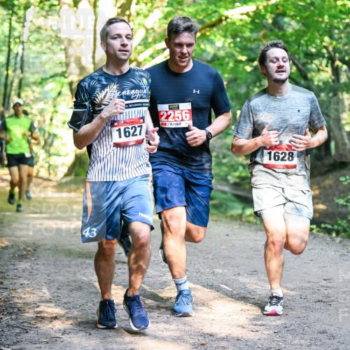 28.09.2025 - 33. Volkslauf durch das schöne Alstertal Dr. Thomas Lammeyer http://msf.ph/oto/8951027 28.09.2025 10:16:11 Laufen 43, 1627, 2256, 1628 meine-sportfotos.de