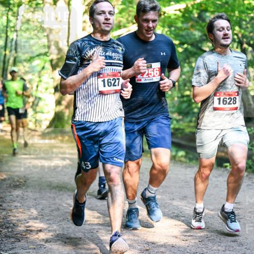 28.09.2025 - 33. Volkslauf durch das schöne Alstertal Dr. Thomas Lammeyer http://msf.ph/oto/8951028 28.09.2025 10:16:11 Laufen 1627, 256, 43, 1628 meine-sportfotos.de
