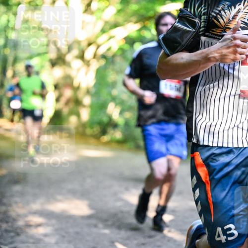 28.09.2025 - 33. Volkslauf durch das schöne Alstertal Dr. Thomas Lammeyer http://msf.ph/oto/8951034 28.09.2025 10:16:12 Laufen 43, 1627 meine-sportfotos.de