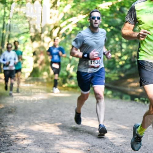 28.09.2025 - 33. Volkslauf durch das schöne Alstertal Dr. Thomas Lammeyer http://msf.ph/oto/8951050 28.09.2025 10:16:15 Laufen 1536, 15 meine-sportfotos.de