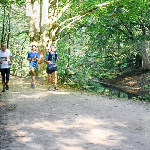 28.09.2025 - 33. Volkslauf durch das schöne Alstertal Dr. Thomas Lammeyer http://msf.ph/oto/8951072 28.09.2025 10:16:26 Laufen 589, 1527, 552 meine-sportfotos.de