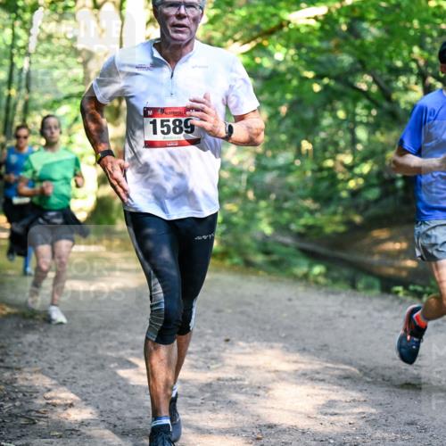 28.09.2025 - 33. Volkslauf durch das schöne Alstertal Dr. Thomas Lammeyer http://msf.ph/oto/8951095 28.09.2025 10:16:29 Laufen 1589, 527 meine-sportfotos.de