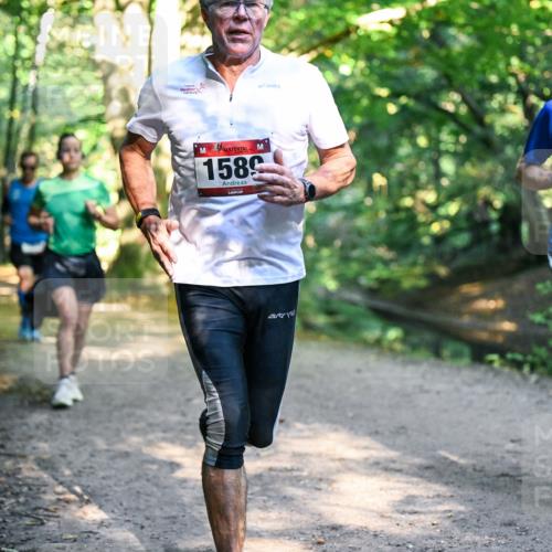 28.09.2025 - 33. Volkslauf durch das schöne Alstertal Dr. Thomas Lammeyer http://msf.ph/oto/8951096 28.09.2025 10:16:29 Laufen 1589, 1527 meine-sportfotos.de