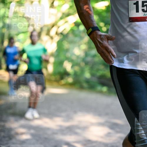 28.09.2025 - 33. Volkslauf durch das schöne Alstertal Dr. Thomas Lammeyer http://msf.ph/oto/8951098 28.09.2025 10:16:30 Laufen 1589 meine-sportfotos.de