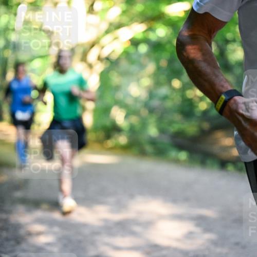 28.09.2025 - 33. Volkslauf durch das schöne Alstertal Dr. Thomas Lammeyer http://msf.ph/oto/8951099 28.09.2025 10:16:30 Laufen 1 meine-sportfotos.de