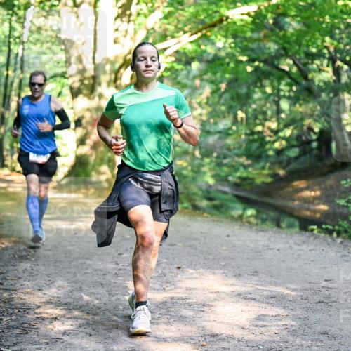 28.09.2025 - 33. Volkslauf durch das schöne Alstertal Dr. Thomas Lammeyer http://msf.ph/oto/8951101 28.09.2025 10:16:31 Laufen  meine-sportfotos.de
